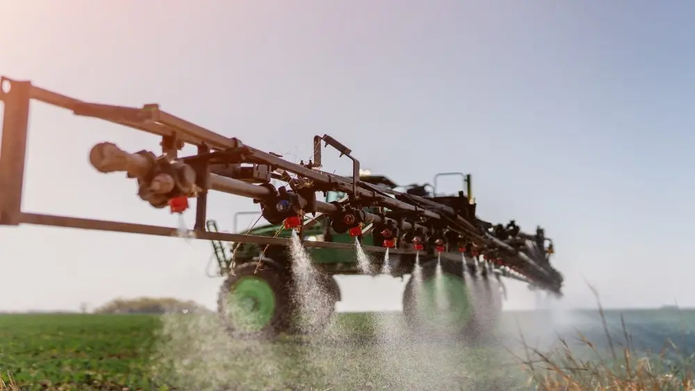 web-photo-template-onecms-1000-x-563-px-2025-12-23t063800-682547476