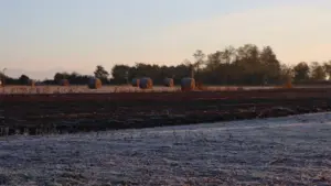 web-photo-template-onecms-1000-x-563-px-2025-09-02t150855-297832948