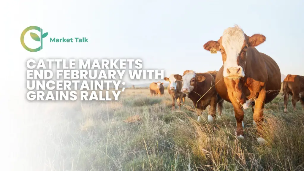 22726-mt-new-youtube-thumbnail