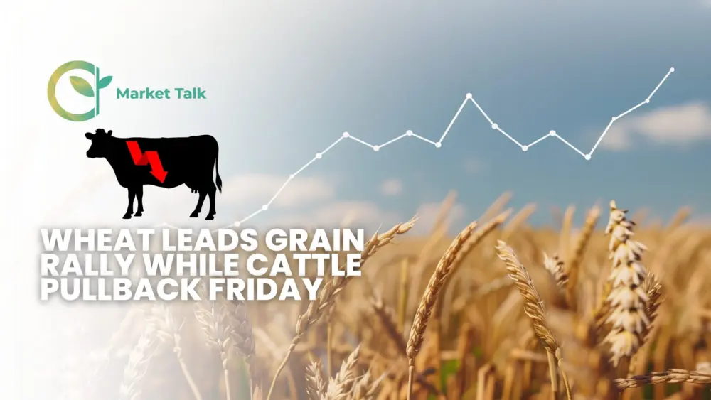 22726-mt-new-youtube-thumbnail-1