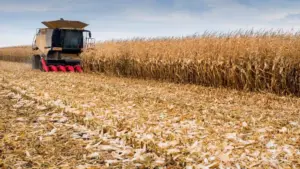 web-photo-template-onecms-1000-x-563-px-2025-10-16t142835-313687120