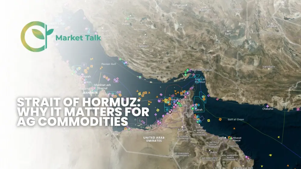 3426-mt-new-youtube-thumbnail