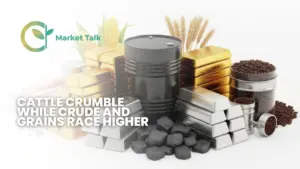 3626-mt-new-youtube-thumbnail-1