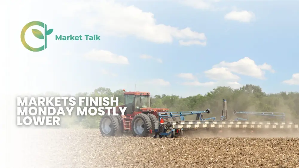 3926-mt-new-youtube-thumbnail-2