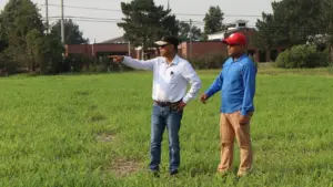 2026-03-06-proso-millet-drought-1000x563863751-1