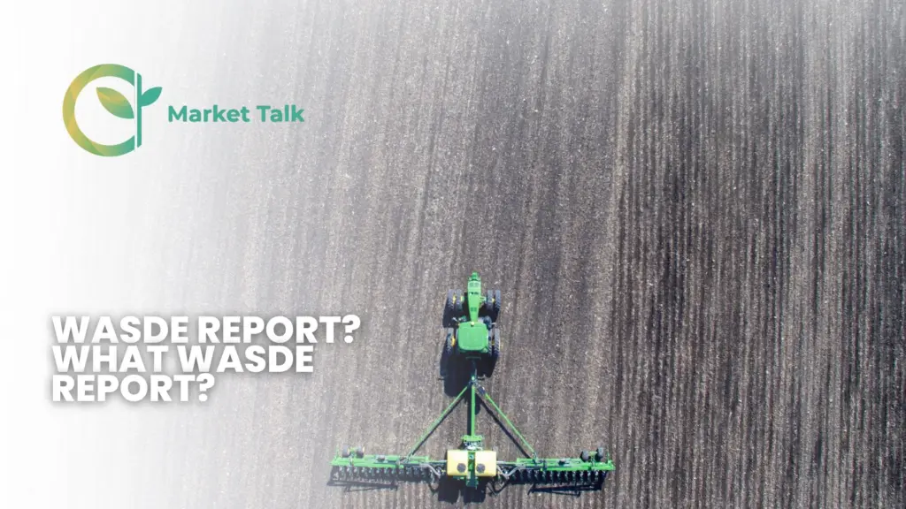 31026-mt-new-youtube-thumbnail-1