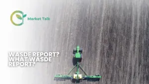 31026-mt-new-youtube-thumbnail-1