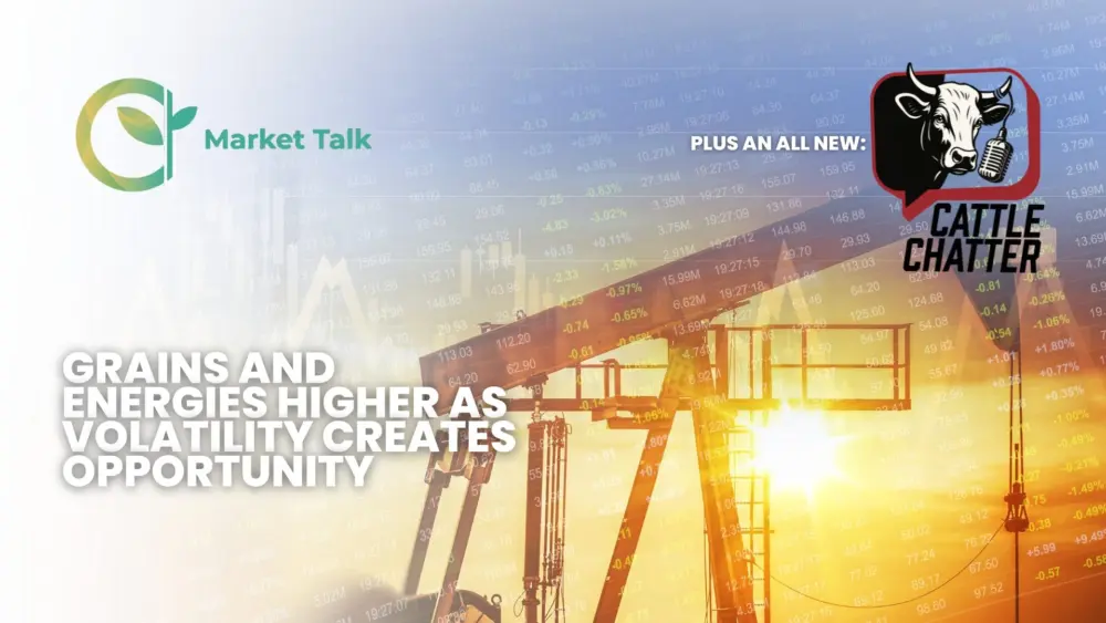 31226-mt-new-youtube-thumbnail-1