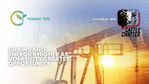 31226-mt-new-youtube-thumbnail-1