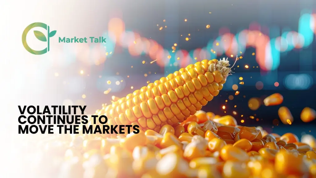 31326-mt-new-youtube-thumbnail-1