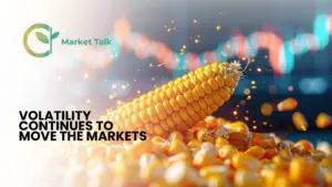 31326-mt-new-youtube-thumbnail-1