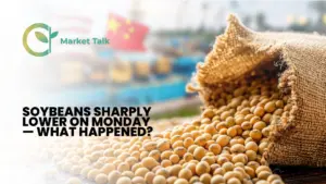 31626-mt-new-youtube-thumbnail