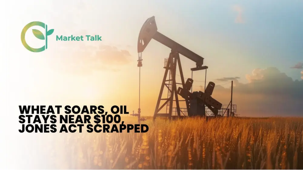 31826-mt-new-youtube-thumbnail