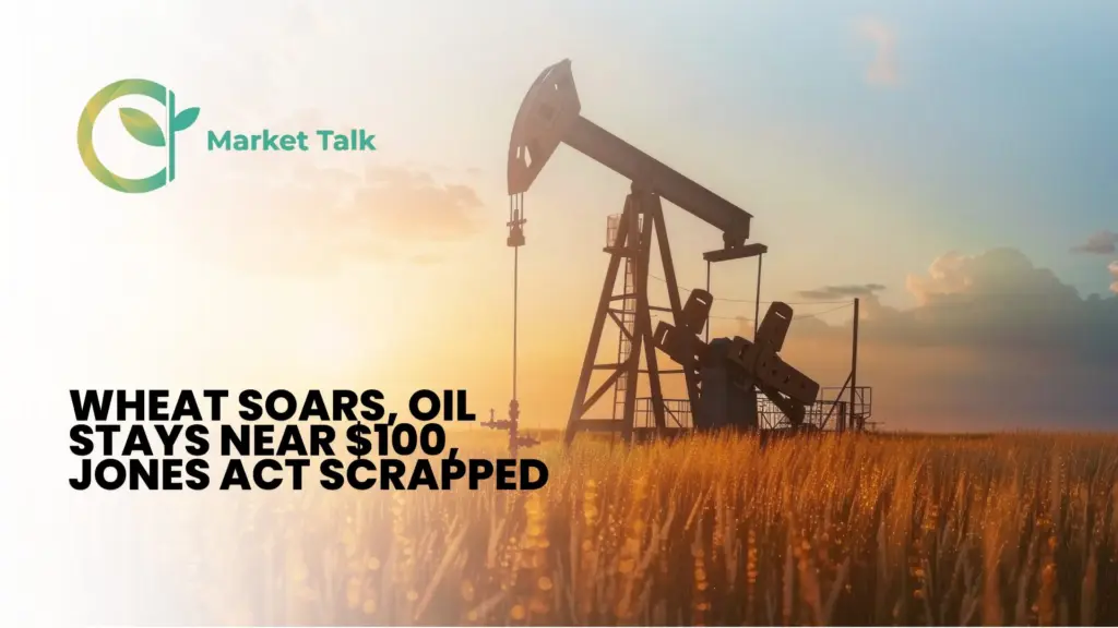 31826-mt-new-youtube-thumbnail