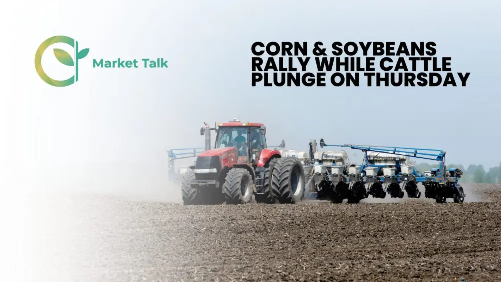 31926-mt-new-youtube-thumbnail-1