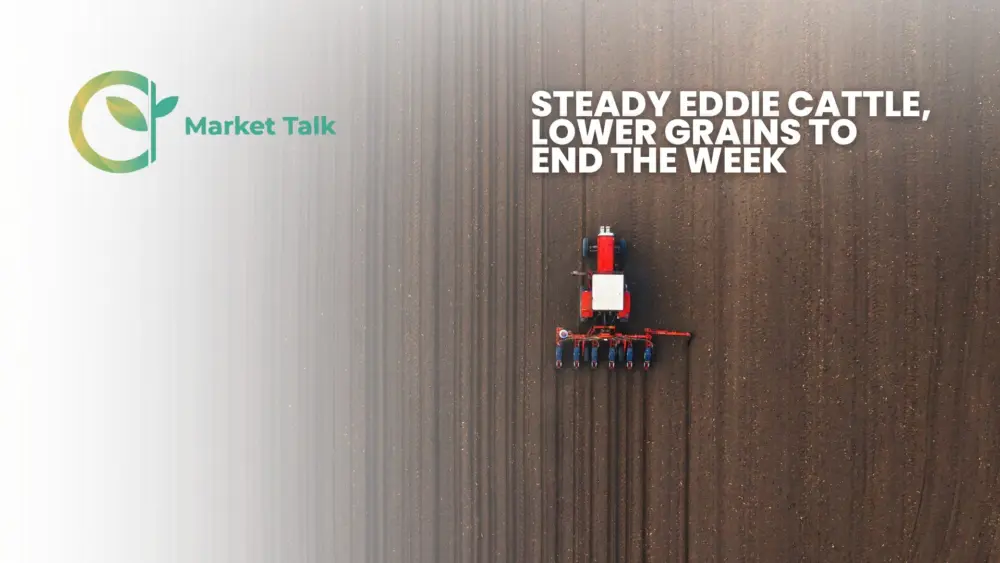 32026-mt-new-youtube-thumbnail-2