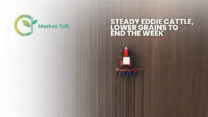 32026-mt-new-youtube-thumbnail-2