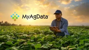 web-photo-template-onecms-1000-x-563-px-2026-03-03t110623-273784509