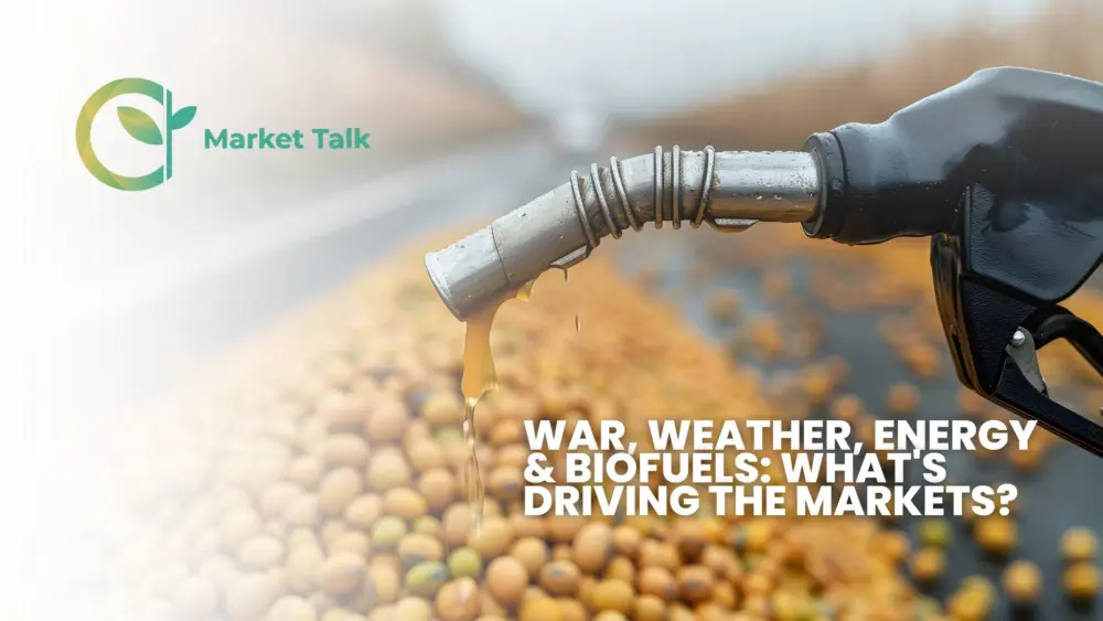 32526-mt-new-youtube-thumbnail