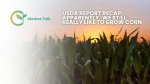 33126-mt-new-youtube-thumbnail