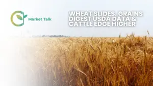 4126-mt-new-youtube-thumbnail