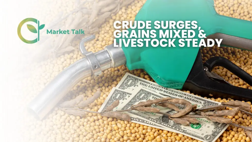 4226-mt-new-youtube-thumbnail