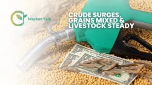 4226-mt-new-youtube-thumbnail