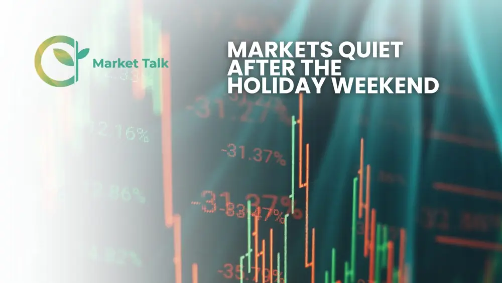 4626-mt-new-youtube-thumbnail