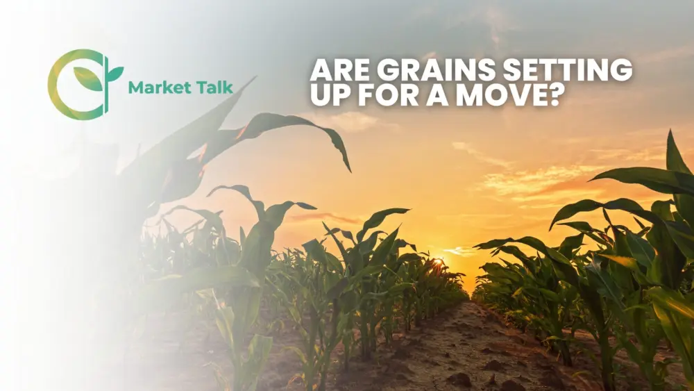 4726-mt-new-youtube-thumbnail