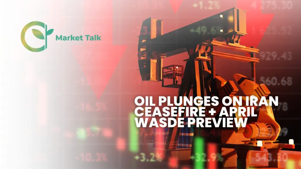 4826-mt-new-youtube-thumbnail-1