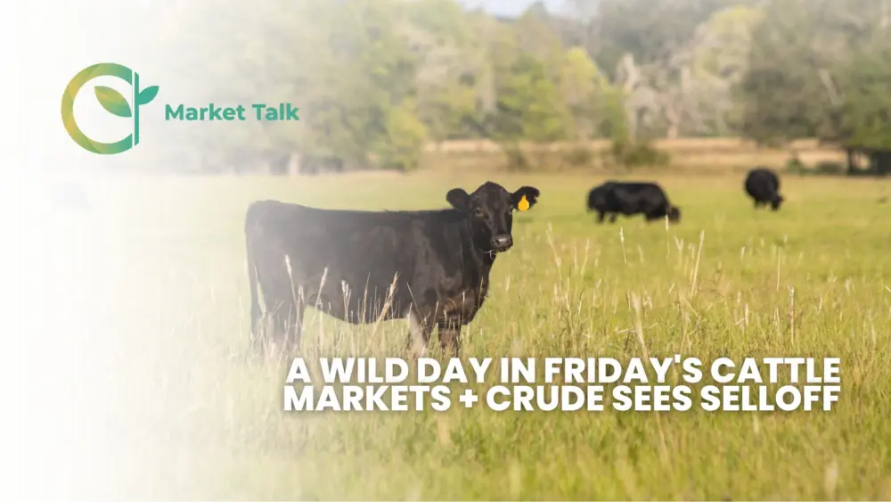 41726-mt-new-youtube-thumbnail-1