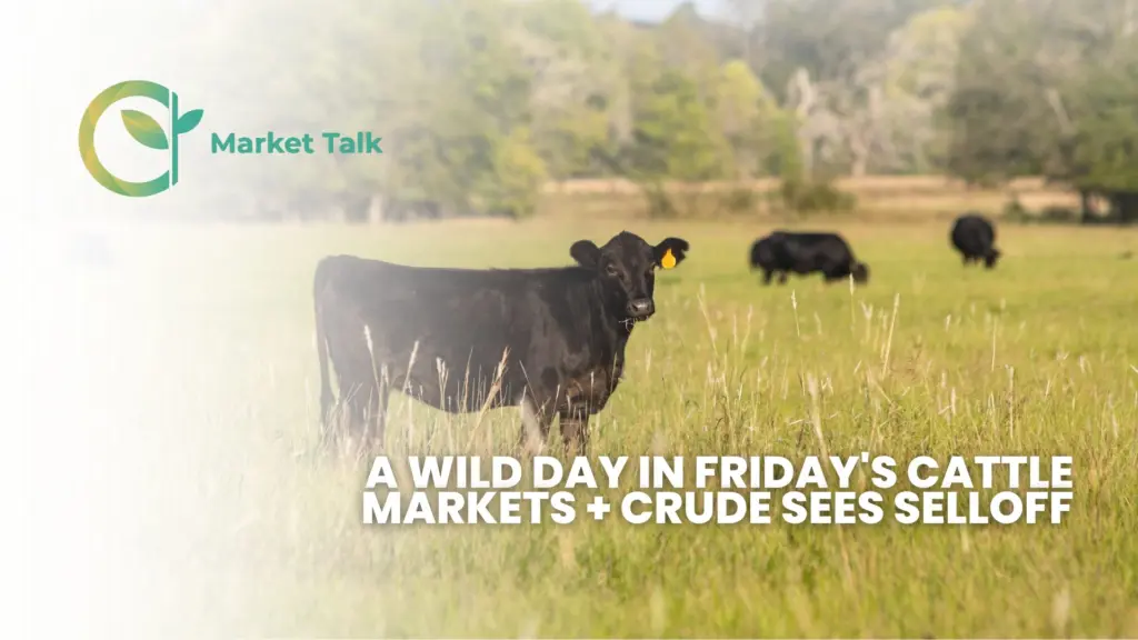 41726-mt-new-youtube-thumbnail-1