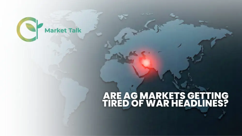 42026-mt-new-youtube-thumbnail-2