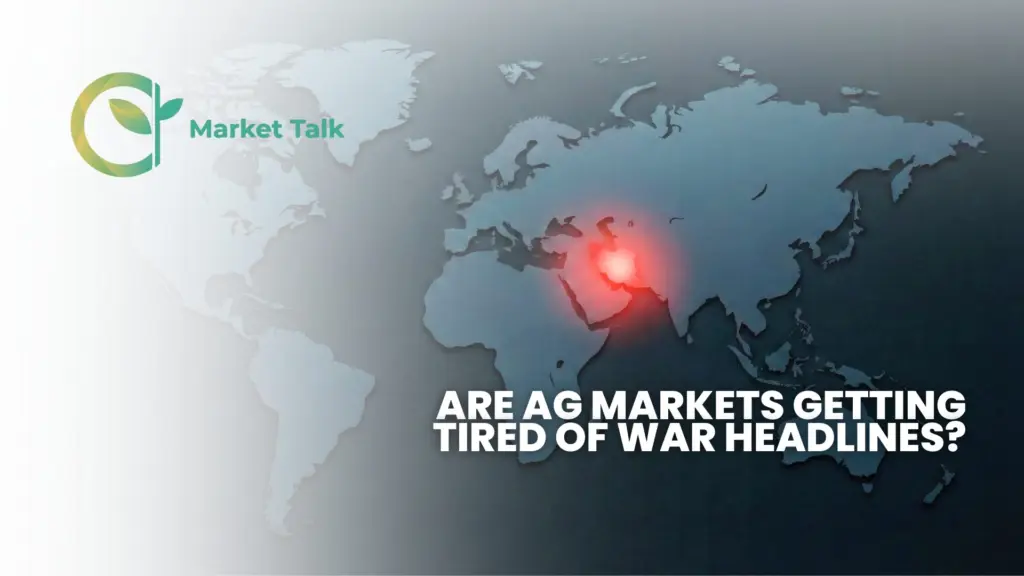 42026-mt-new-youtube-thumbnail-2