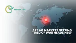 42026-mt-new-youtube-thumbnail-2