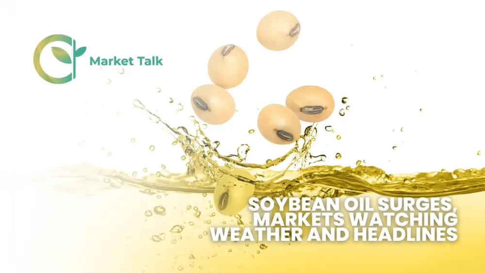 42126-mt-new-youtube-thumbnail-1