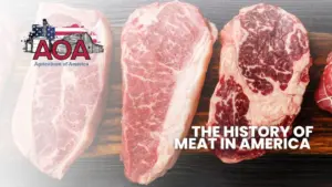 ogle-aoa-youtube-thumbnail-1000x563966876-1317558