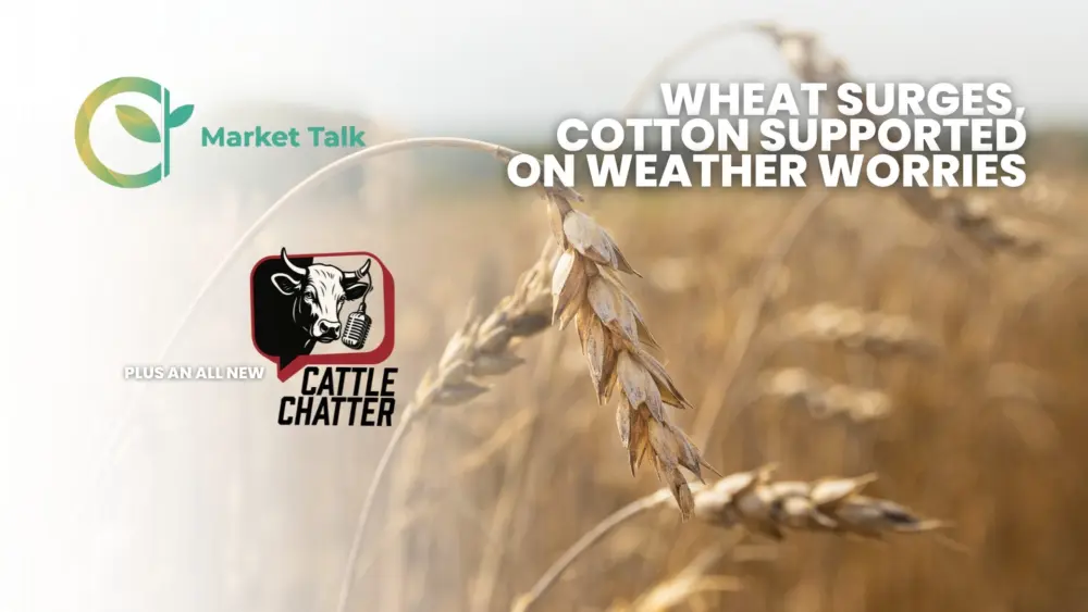 42326-mt-new-youtube-thumbnail-1