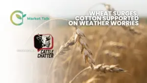 42326-mt-new-youtube-thumbnail-1