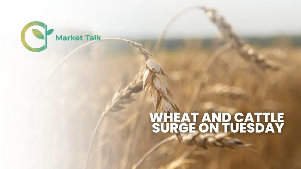 42826-mt-new-youtube-thumbnail