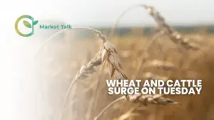 42826-mt-new-youtube-thumbnail