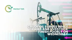 42926-mt-new-youtube-thumbnail