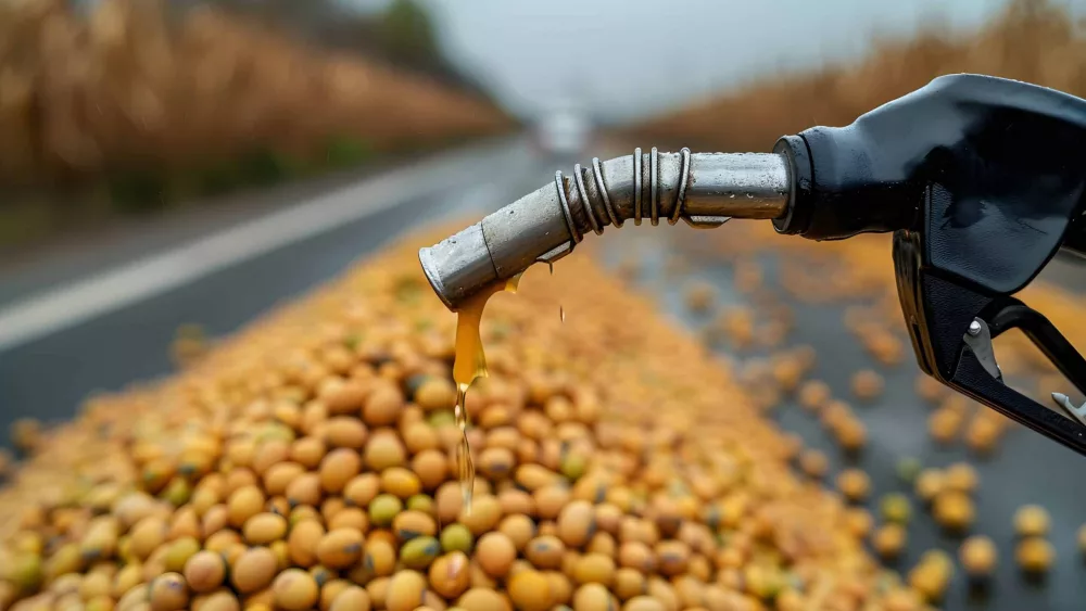 fuel-pump-overlooking-a-pile-of-soybeans-on-a-rural-road
