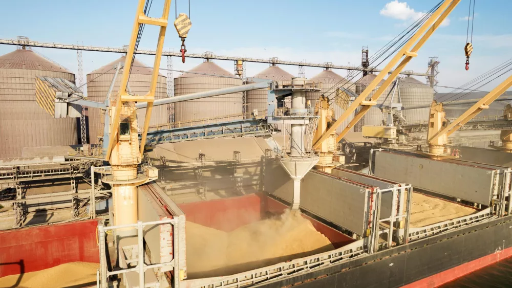 loading-grain-into-holds-of-sea-cargo-vessel-through-an-automatic-line-in-seaport-from-silos-of-grain-storage-bunkering-of-dry-cargo-ship-with-grain-6