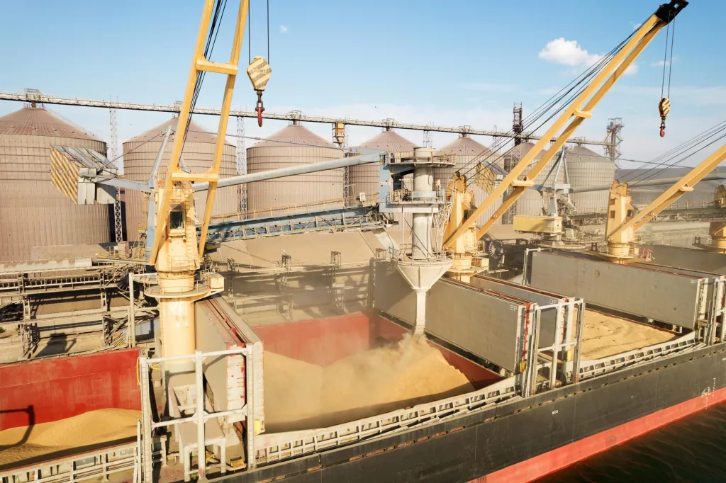 loading-grain-into-holds-of-sea-cargo-vessel-through-an-automatic-line-in-seaport-from-silos-of-grain-storage-bunkering-of-dry-cargo-ship-with-grain-6