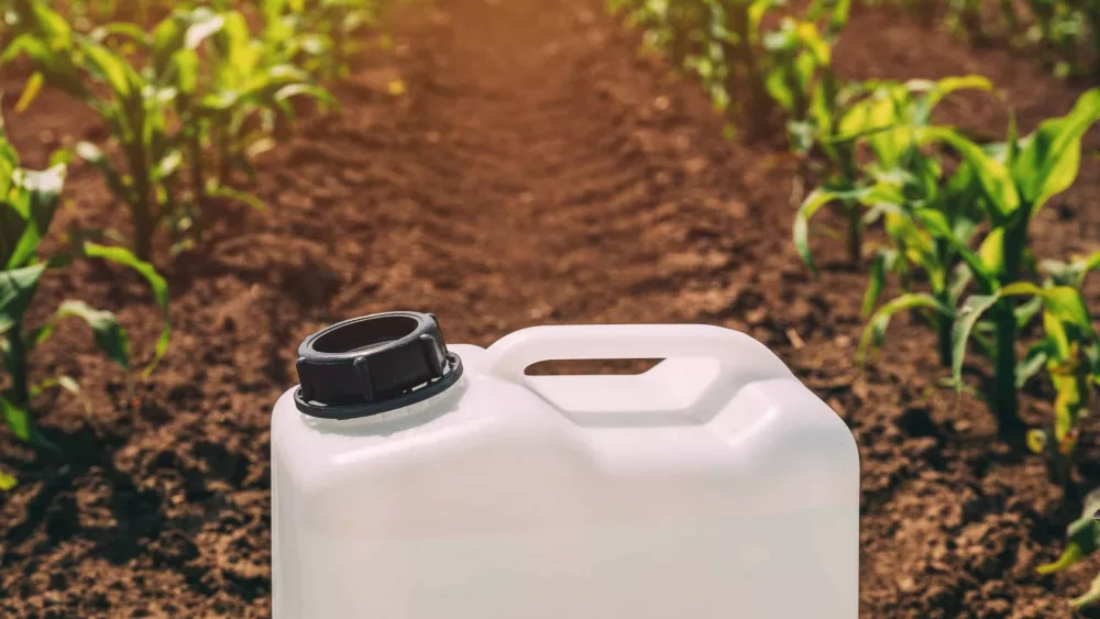 closeup-of-herbicide-container-in-corn-maize-crop-field-2