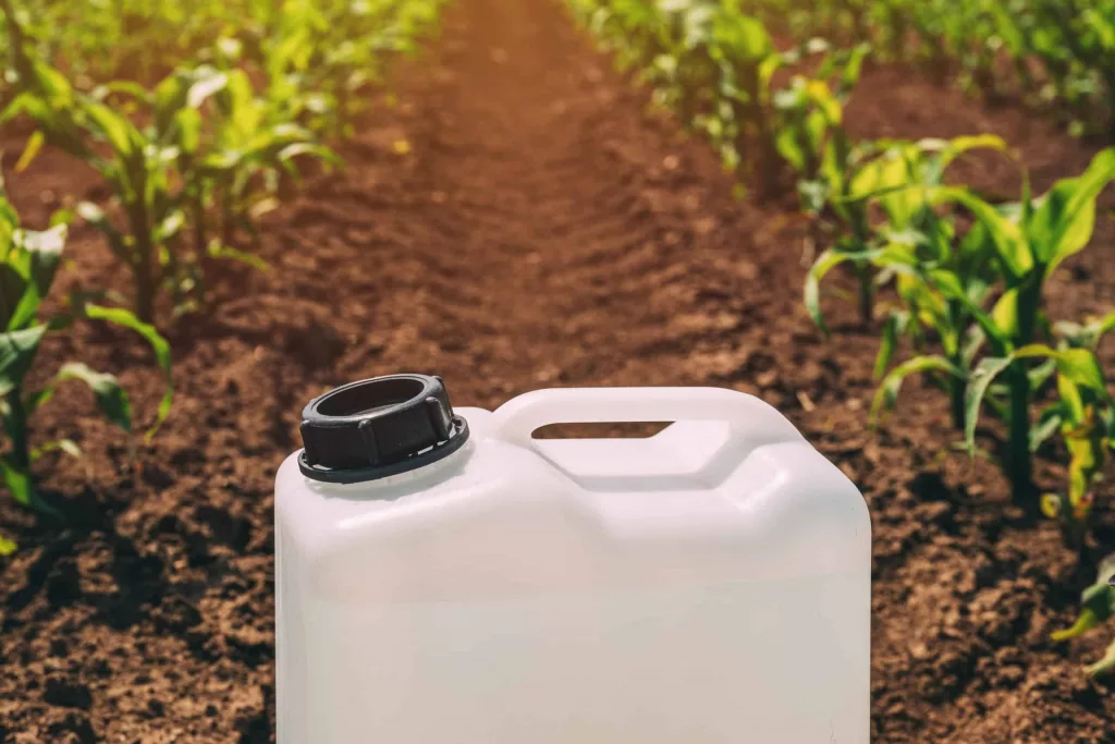 closeup-of-herbicide-container-in-corn-maize-crop-field-2