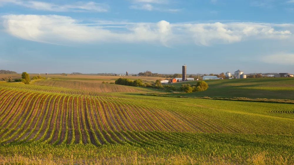 iowa-farm-and-fields-of-young-corn-at-sunset-on-a-beautiful-day-in-late-spring-5