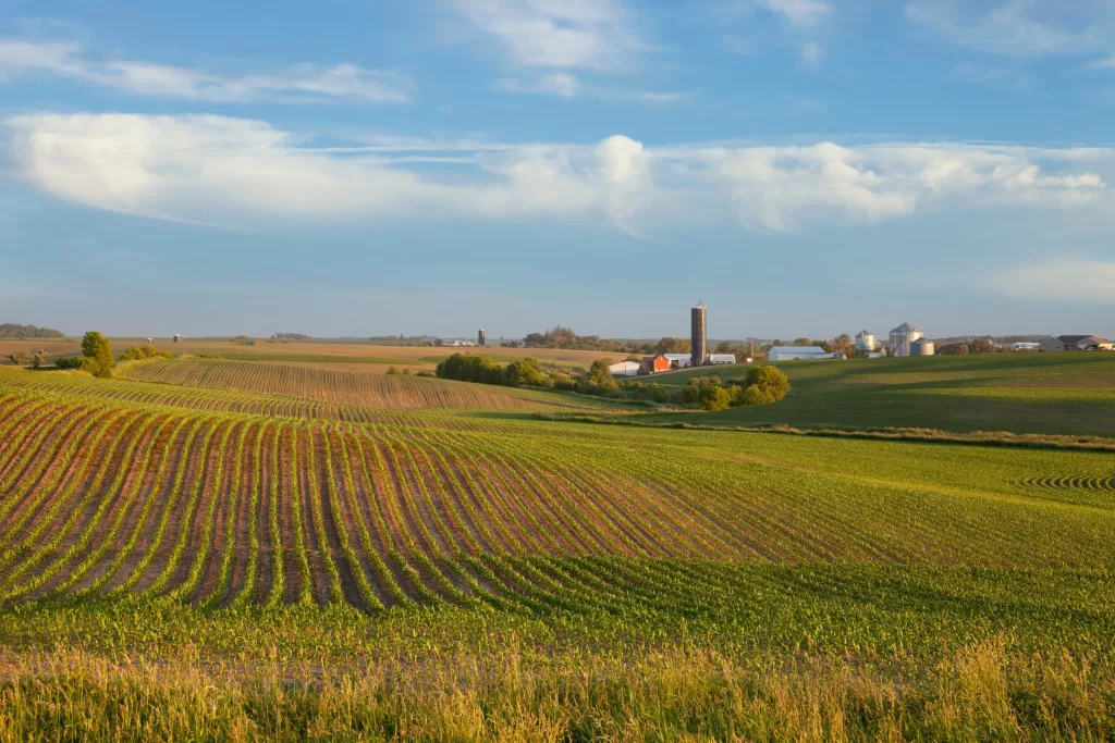 iowa-farm-and-fields-of-young-corn-at-sunset-on-a-beautiful-day-in-late-spring-5