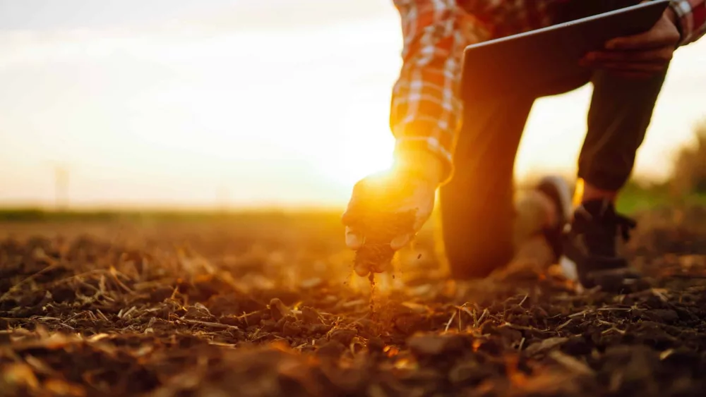 hand-of-expert-farmer-collect-soil-and-checking-soil-health-befo